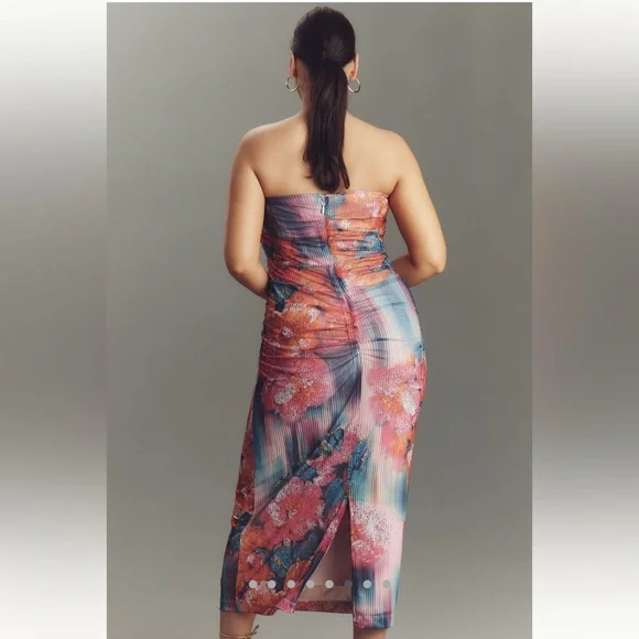 NWT Elegant The Soleil ruched mesh Dress from Anthropologie - Picture 6 of 9